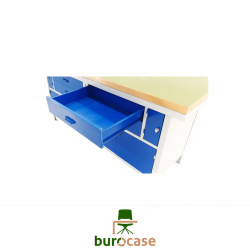 ÉTABLI PROFESSIONNEL
