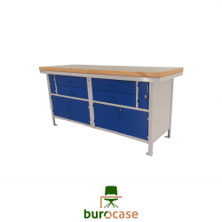 ÉTABLI PROFESSIONNEL