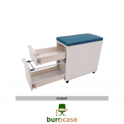 CAISSON GAIN DE PLACE