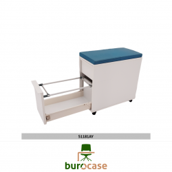 CAISSON GAIN DE PLACE