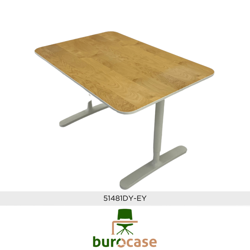 BUREAU INDIVIDUEL RÉGLABLE