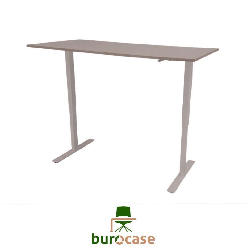 BUREAU ASSIS-DEBOUT