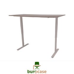 BUREAU ASSIS-DEBOUT