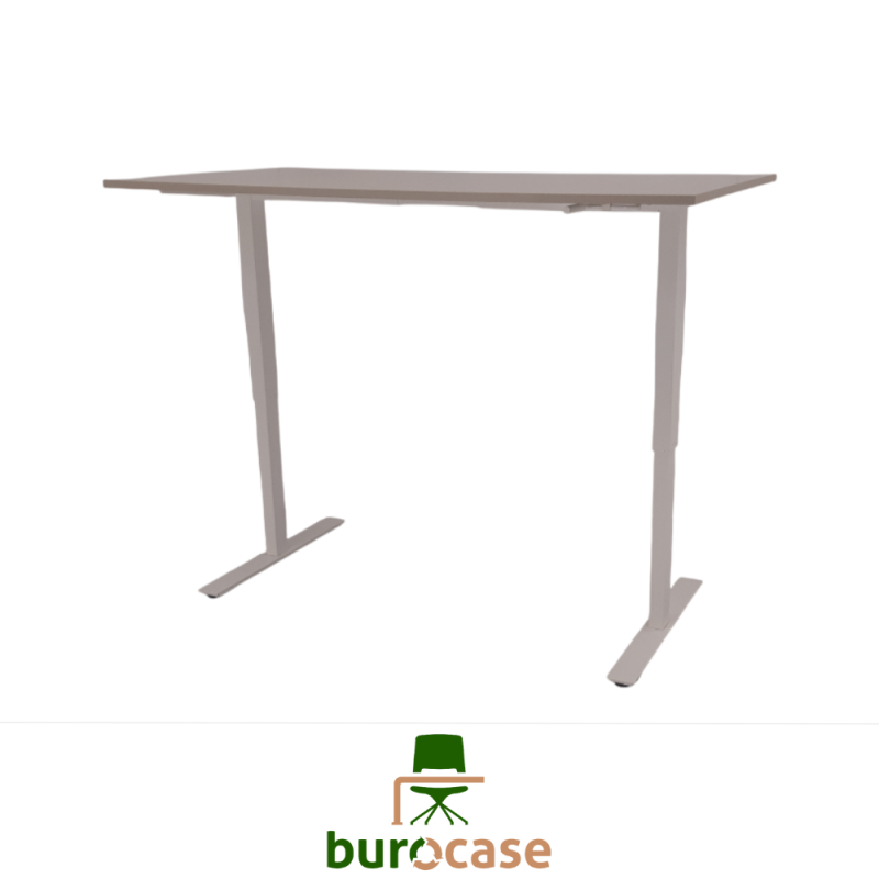 BUREAU ASSIS-DEBOUT