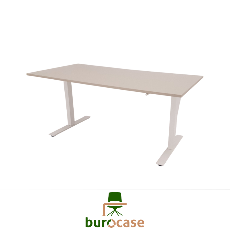 BUREAU ASSIS-DEBOUT