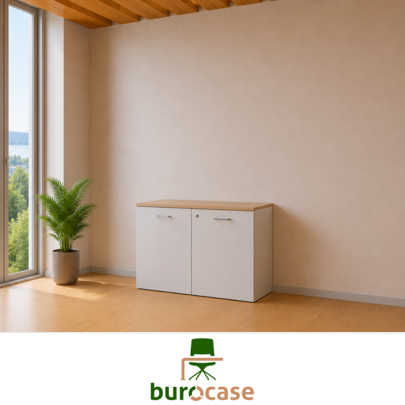 ARMOIRE BASSE PORTES BATTANTES