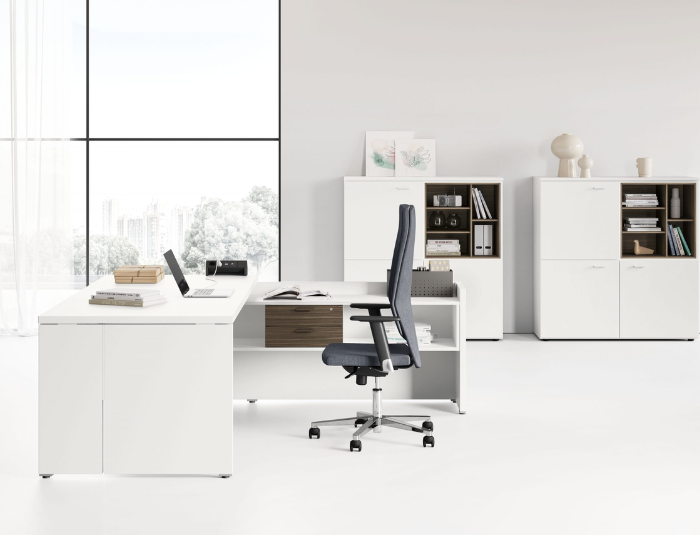 Bureau de direction occasion et pas cher